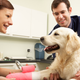 Image for article titled Tips For Choosing The Right Veterinarian